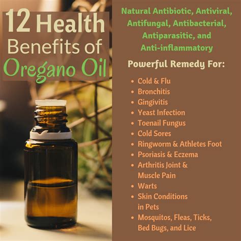 1 12 tablespoons coconut oil; 45 drops oregano essential oil. . How many drops of oregano oil should i take for a cold
